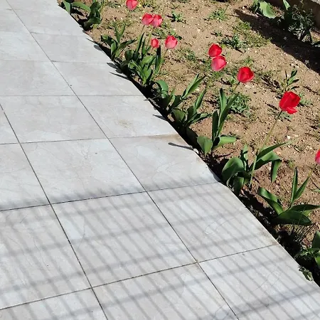 Stylish Rose Garden With Balcony & Parking *